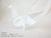 Photo Origami Pigeon, Author : Manyo Ito, Folded by Tatsuto Suzuki